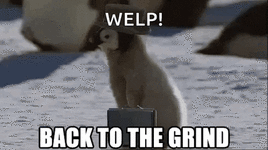 penguin-grind.gif