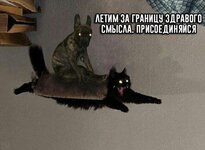 snkO-lKuausR6G3d0X0ySiHIddALWdbMhj4Bh4lOkhZK090vI-Zn8PVrMcuG461lLP4oW6naNlAHZNV7GNtVNKsE.jpg