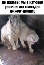 Rur7AyzBIE1KGK1coLoA2k5t68m5rN2K8tfF-dLFglzfVNe77t4-Uyfvgt_4HOp2_k9miDoCMXs6ROBgxFPFwWdh.jpg