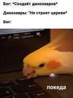 IMG_0518.jpeg