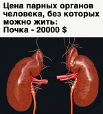 I8TjtU5hbvYlaZS63x6hdD92kES5Dk0-6O4O77kj-PHHunejFjpc0Zt2yDOTfSkk8tHYGe2KVBc7JSP9fQ95eB8K.jpg
