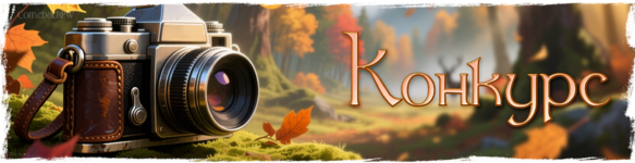 Ivent копия (3).png
