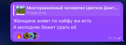 IMG_9793.jpeg