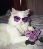1760980618288.png