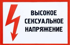 IMG_8100.jpeg IMG_8100.jpeg