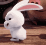 shake-it-dance.gif