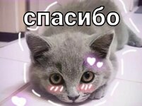 c55194fa413b6b63a978bffc13306556.jpg