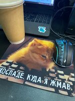 23DC2B55-EC97-4334-BA90-2C0D0B9E066A.jpeg