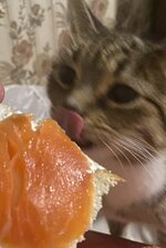 35255630-9033-4E22-A1E4-2244EE9AB36B.jpeg