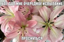 IMG_20260208_120756_765.jpg