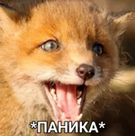 1775711910147.png