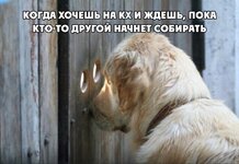 1cgfme1EZY3jUI1nKw5dB3x6IbmZH0rSmdCP6F4g04ItW7GkvIHqk3yy206scIbp9lJVRbxHRhbBLrvv5HqObjHo.jpg