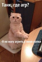 111111.jpg