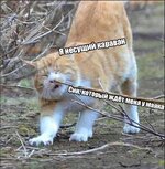 0KAbcJm6KYg.jpg