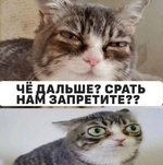 1781249606246.png