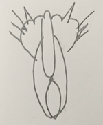 1782214760911.png
