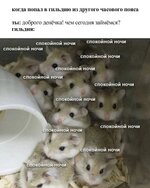aBeldm7htHp2SZwPdiJdNeA2ArdzOM9LbvSQFj8K0F4Oz70Fy2AOwSo1Eix587saH651lwZ3W7s1IeDyQGJXzTrn.jpg