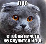 gOQGZsFWNWSRdpf3zSWbSZX2aS6JBHlwyn1Ly0paaH2rPyYArrbcMRUlNtjtvHDqd-MLiZSPAe-Za9Ax5FIK8prG.jpg
