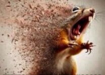 Krdcsi1fnQhhVvP092lgK3asP8qhrflU8bbJrJvATYZUzat4kKiad4sQjNC8CrRRAMM_jfXeFBqV7sTu1AtfI2Rz.jpg