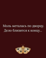1783167055569.png