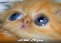 images (5).jpeg