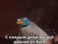 i (39).jpeg