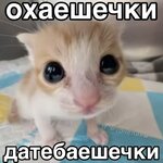 306fb4bdbe559cf6e07cc30fa0fde2b3.jpg