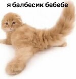 a2039085c43b250e59b07198e387d729.jpg