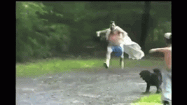 gif10.gif