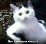 cqiYZyAcEuDXtyJedTZrbBrT--Zw54Ivo7fSGkatpAocLBI7ogGlkr-nq0ouff7E7rQWEDmBm4LBeRmpxlU4eRoV.jpg