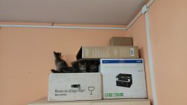 IMG-20220802-WA0013.jpeg
