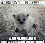 kLhibX_ietU.jpg