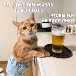 8a24de6b1819990e54c2353351d283cd.jpg