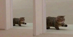 изображение_2022-10-13_120305398.png