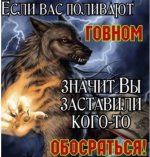 pqg-tSwU9bU.jpg