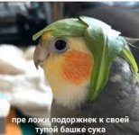 Без названия.jpg