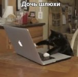01DCAAB3-B4F2-4795-8681-66BB6F0E3D59.jpeg
