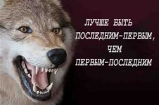 statusas-auf-volk1.jpg