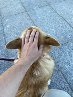 IMG_5945.jpeg