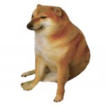 321.jpg