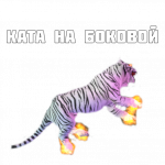 стикер ката.png