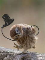 1551009722151326718.png 1551009722151326718.png