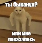 IMG_7172.jpeg