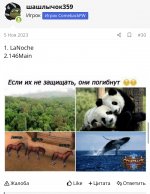 IMG_9242.jpeg