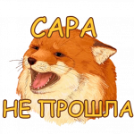 сара.png