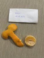 IMG_4705.jpeg