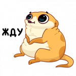 IMG_7694.png