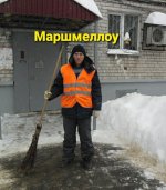IMG_20240206_095515_364.jpg