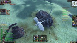 2024-02-22 13-07-30.jpg