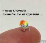 D9C22D78-DDA3-4E66-A001-0D7AFD04B346.jpeg